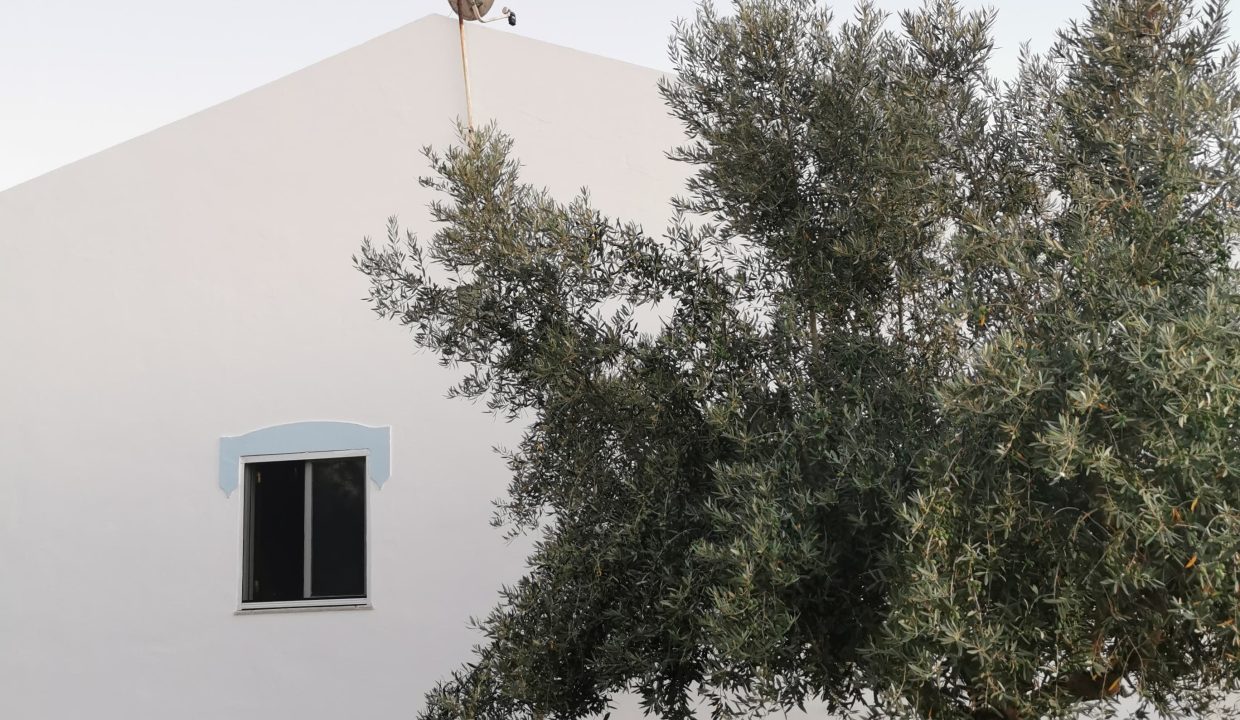 7162be9c-2c4f-4f50-8d62-eae24ea6db57