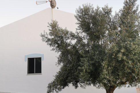 7162be9c-2c4f-4f50-8d62-eae24ea6db57