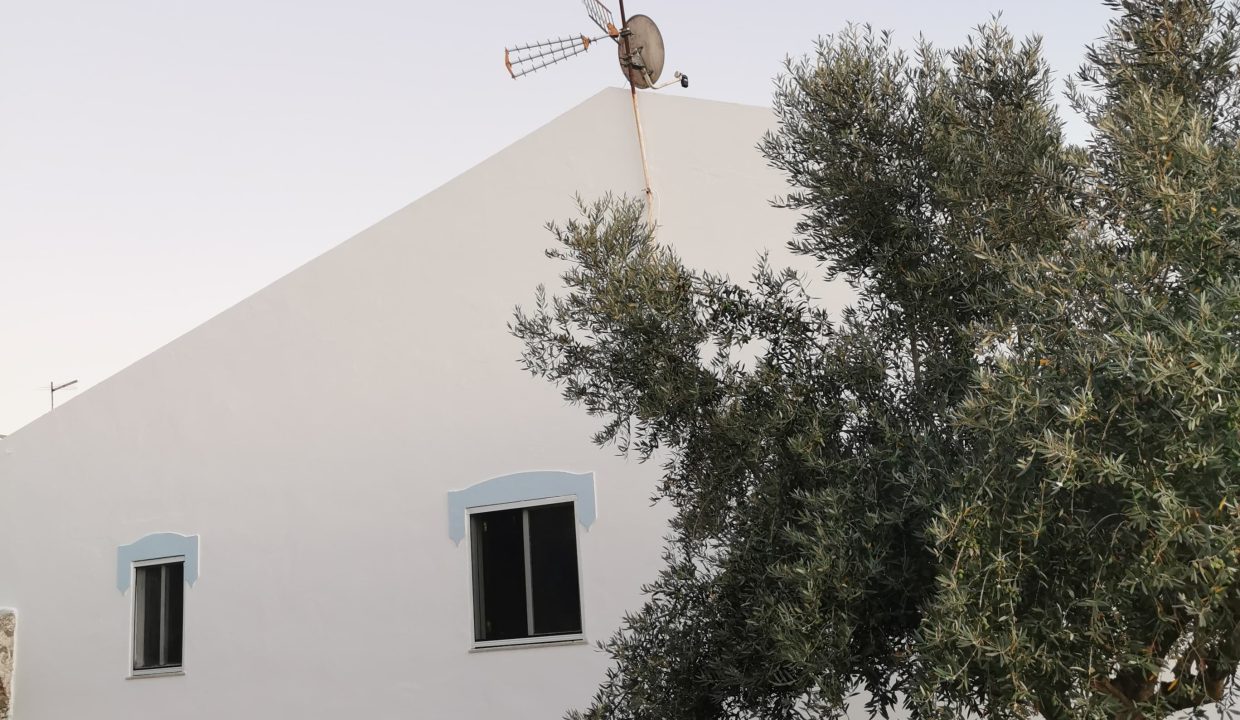 d42d92ca-95cf-4c8c-bfbc-3a3aa916e454