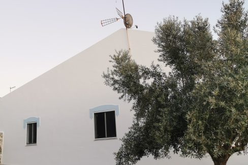 d42d92ca-95cf-4c8c-bfbc-3a3aa916e454